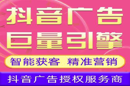 竞价广告的投放策略调整：基于数据反馈的实战案例